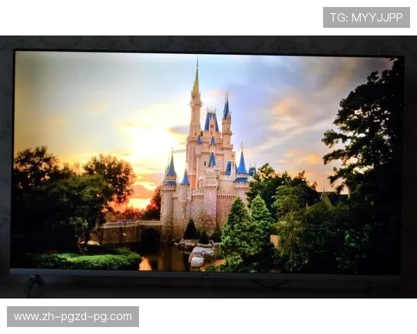 乐视平台欧冠决赛录像回放汇总与画质比较